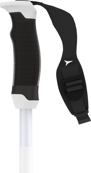 AMT CARBON SQS W AMT CARBON SQS W