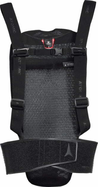 SCUDO VIVO IN MEZZO ALLA LUCE